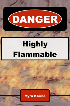 flammable book cover